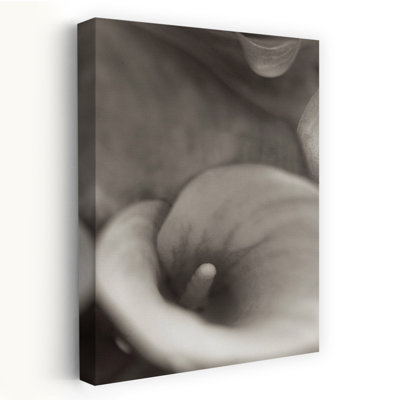 Florison #19 - Floral And Still Life Photography Calla Lilies Flowers Art