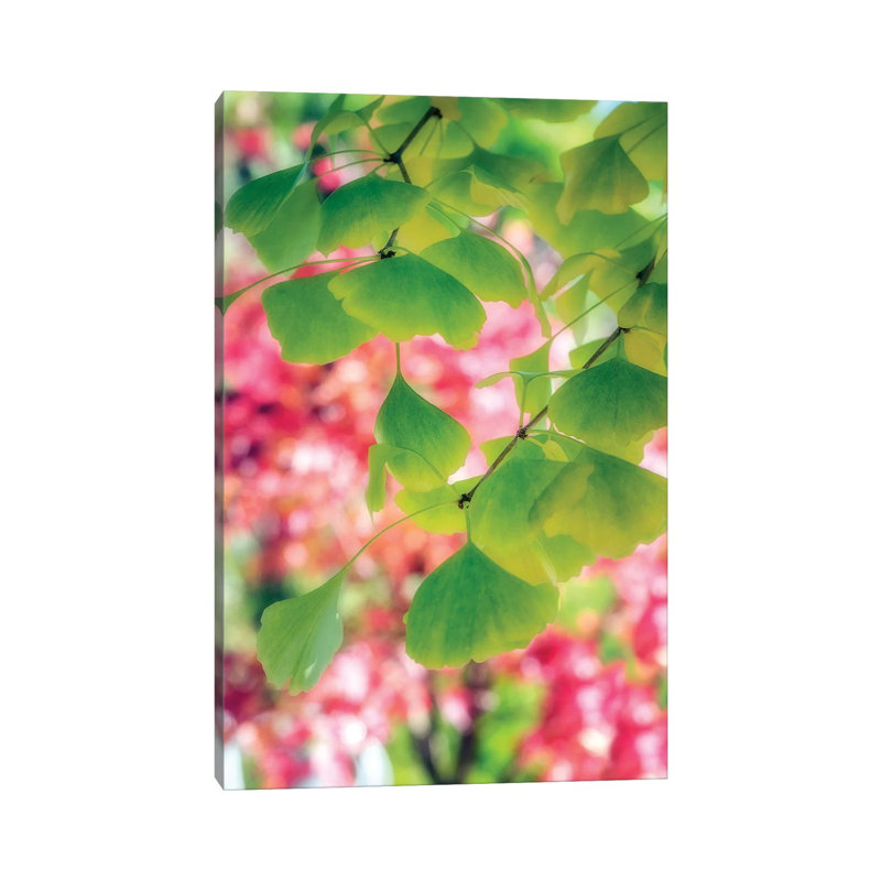 Rain Of Leaves by Philippe Sainte-Laudy - Print on Canvas, Wrapped Canvas, 20.32 cm H x 30.48 cm W