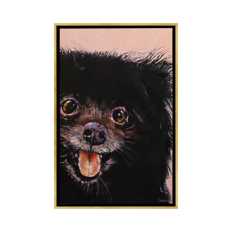 « Black Pomeranian » par Michael Creese, reproduction d’art, H 40 po x l 26 po x P 1,5 po, Toile encadrée d'or, Pas de tapis