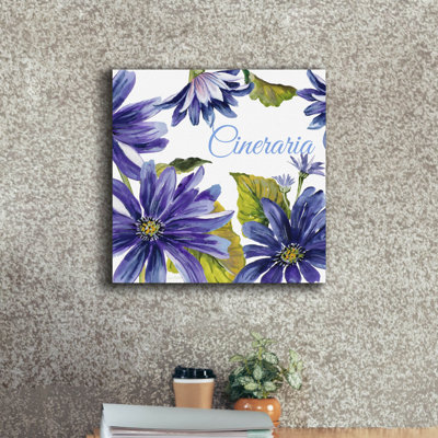 'Cineraria'  by Jean Plout Canvas Wall Art, 18" x 18"
