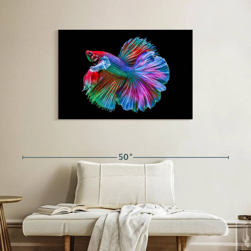 Poisson Betta chromatique, H 26 po x l 39 po