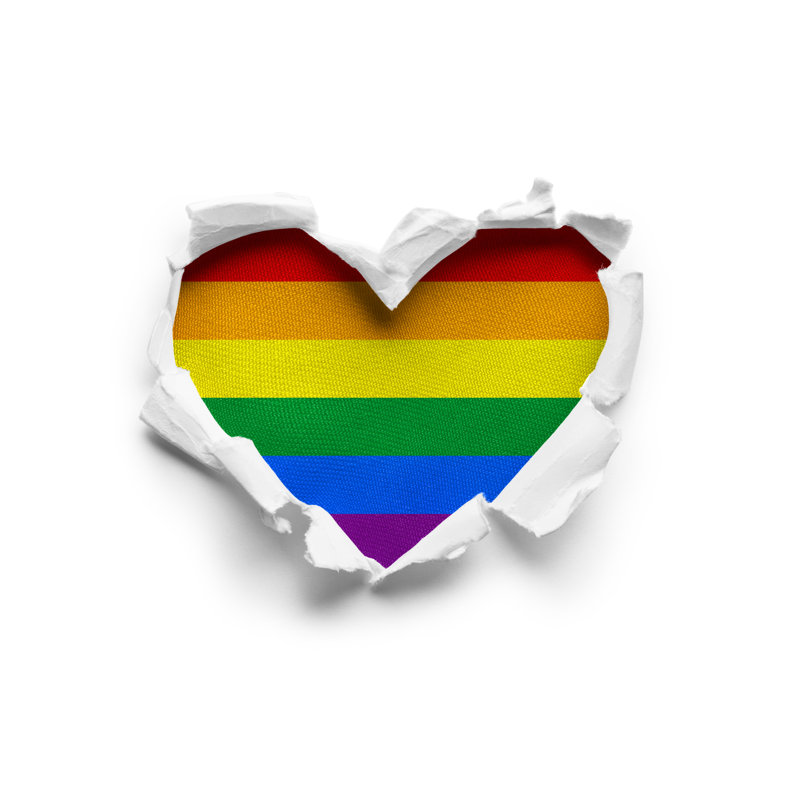LGBT Flag On White - Wrapped Canvas Print, 30cm H x 46cm W x 3.8cm D