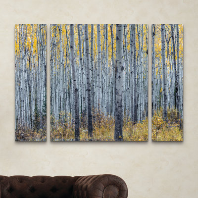 « forest of aspen trees », reproduction de photo à multiples images sur toile tendue