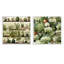 Karsyn - Ensemble de 2 collages carrés floral et botanique-101861712-101861715