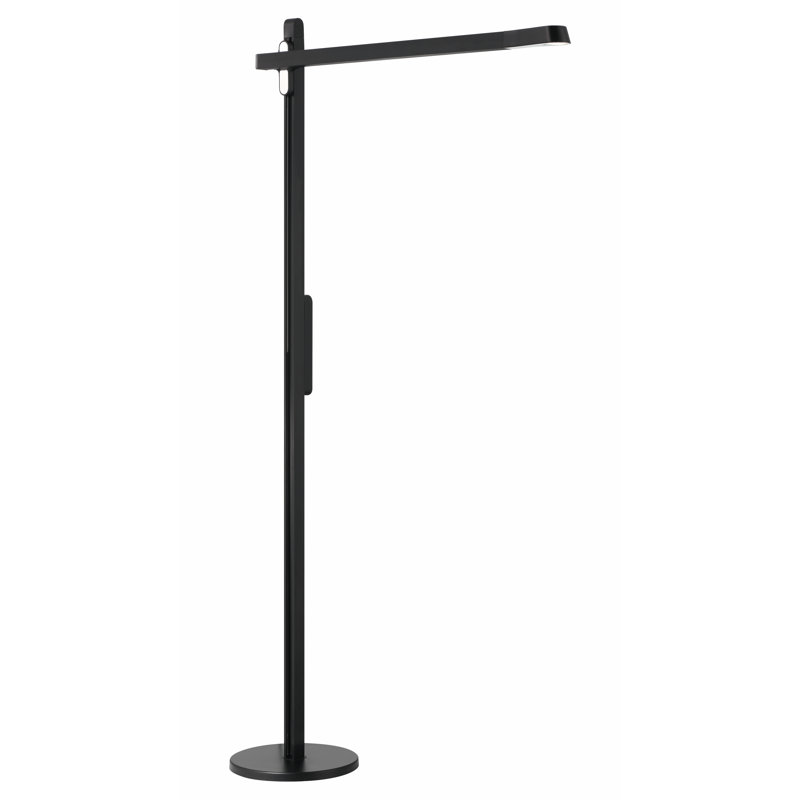 Lampe sur pied Amareion à DEL au fini charbon brossé anodisé