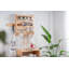Keysville Bracket Shelf