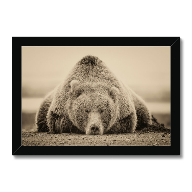 Deep Sleep by PHBurchett - Print, Black Framed Paper Print, 24cm H x 34cm W