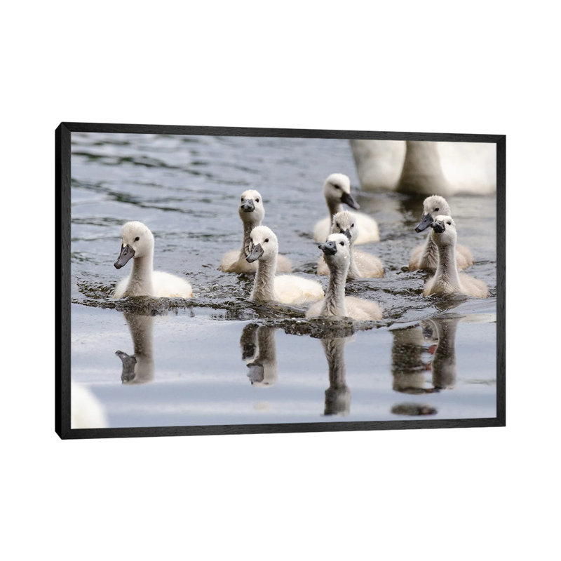 Young’uns by David Gardiner - Print on Canvas, Black Framed, 66.04 cm H x 45.72 cm W