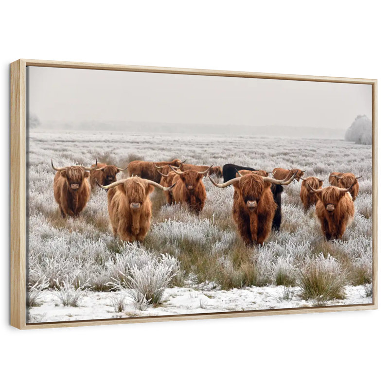 Winter Highland Cows, Cadre flottant en bois naturel, 40 po x 27 po