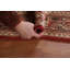 Tapis de couloir en laine Boteh Botemir