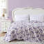 Couvertures en molleton doux Betsey Johnson-100096302-100096288