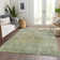 Machine Washable Indoor/Outdoor Claudian ACN1237 Sage Rug