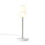 Carlton Desk Table Lamp