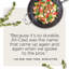 All-Clad Ha1™ 8 and 10 in. Non-Stick Frying Pan Set