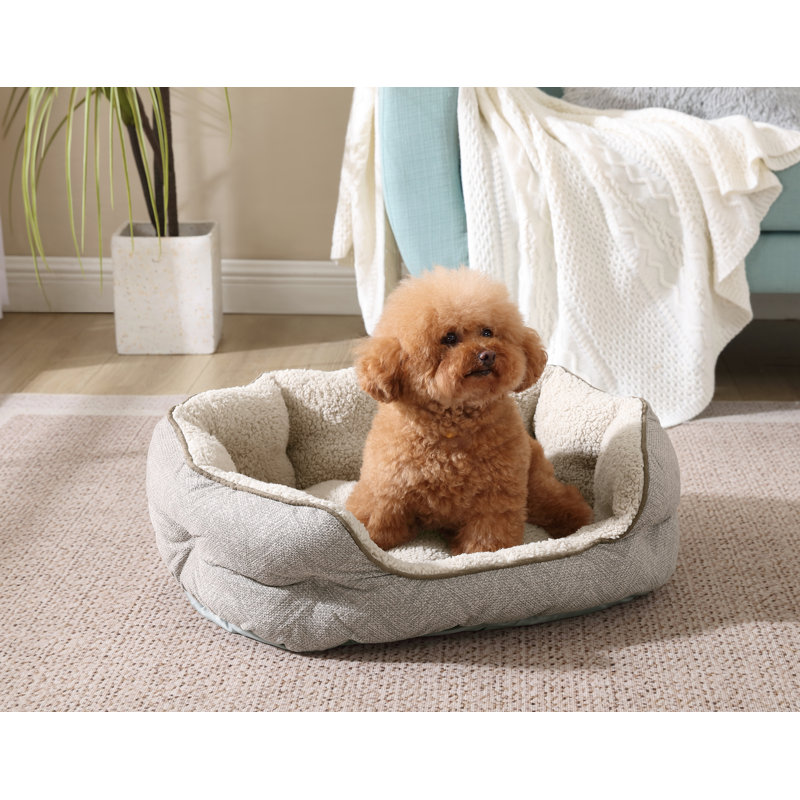 Lit orthopédique durable pour animaux Tucker Murphy Pet ™ par Arlee Home & Pet Cozy, Moyen (H 12 po x l 27 po x P 33 po)
