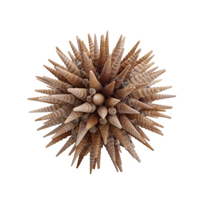 Marlin Shell Ball (LG)