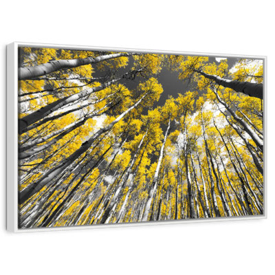 Colorado Aspen Trees