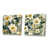 Toile tendue