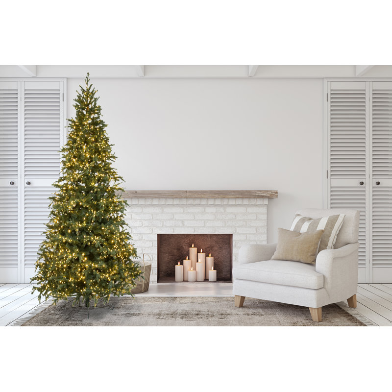Carolina Fraser Artificial Christmas Tree Clear Lights, 12'
