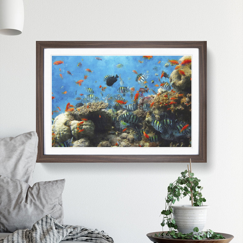 Coral Reef and Fish Vol.2 - Picture Frame Graphic Art, 36cm H x 48cm W x 2cm D, Walnut Framed