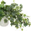 Trailing Ivy in Ribbed Ceramic Vase