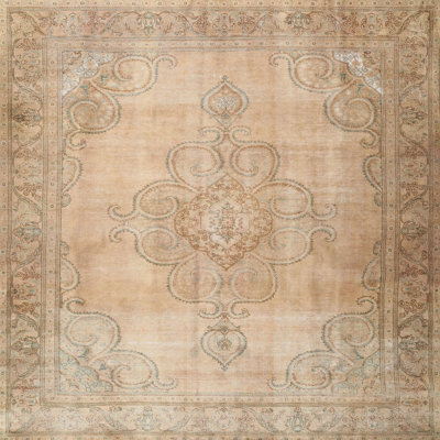 Oriental Indoor Rug