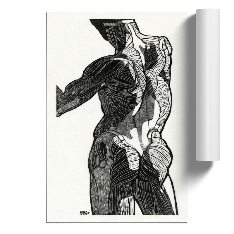 Anatomical Study Of A Man Vol.9 by Reijer Stolk - No Frame Painting, 30cm H x 21cm W x 0.1cm D