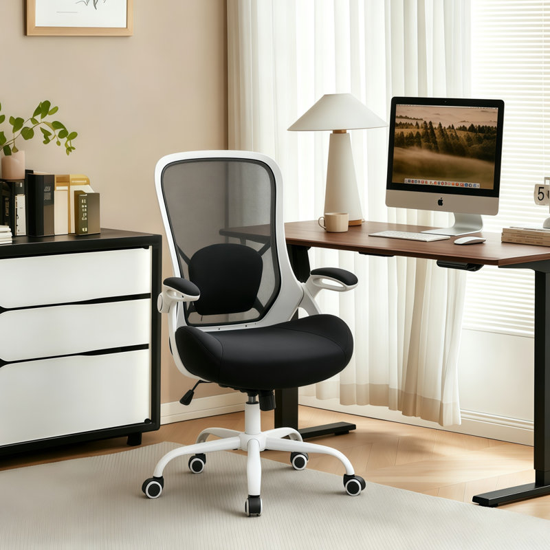 Chaise ergonomique Home Ofiice, Noir, Blanc