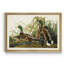 Mallard Duck - reproduction d'art sur toile-401272379-401272378