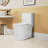 White 1.1/1.6 Ceramic Toilet, Elongated, Comfortable, Soft Close Seat, & , T036wt , White,