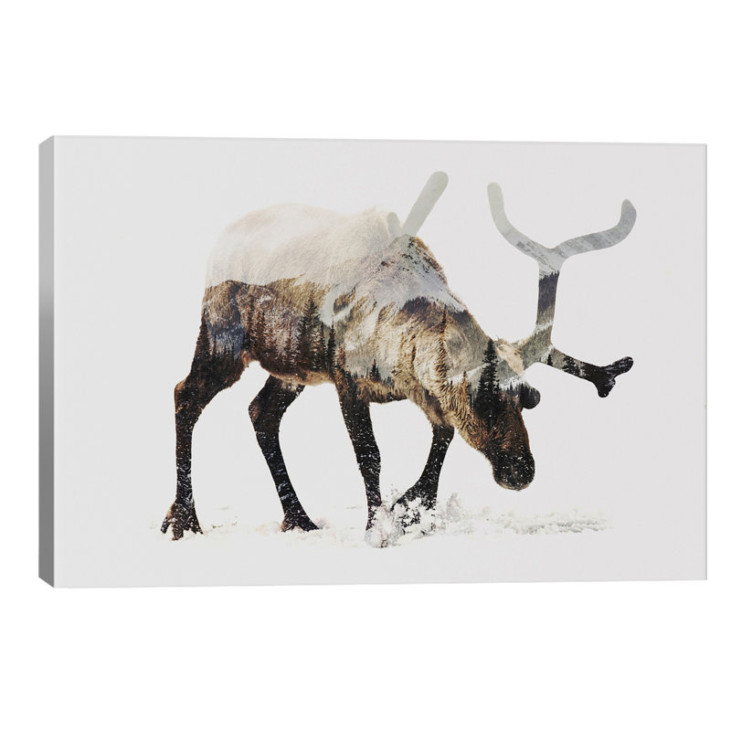 Reindeer IV by Andreas Lie - Wrapped Canvas Print, 66.04 cm H x 45.72 cm W x 1.91 cm D