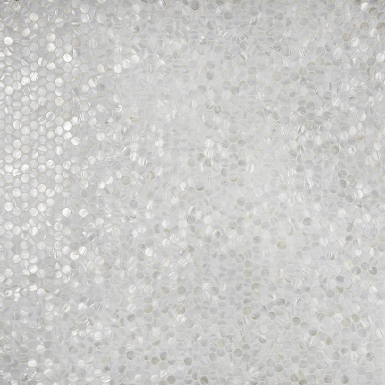 Conchella 1" x 1" Seashell Penny Round Mosaic Tile