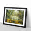 View of the Forest in the Spring - Picture Frame Painting Print on MDF-56734468-56734466