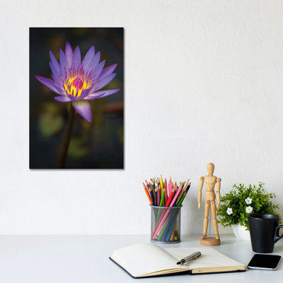 Bloom by Jonathan Ross Photography - Wrapped Canvas Print
