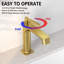 Robinet pour salle de bain à poignée simple avec drain moderne-100512099