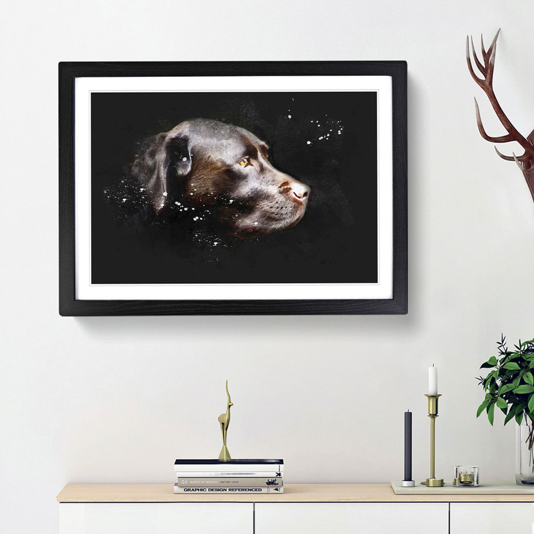Chocolate Brown Labrador Dog - Framed Print