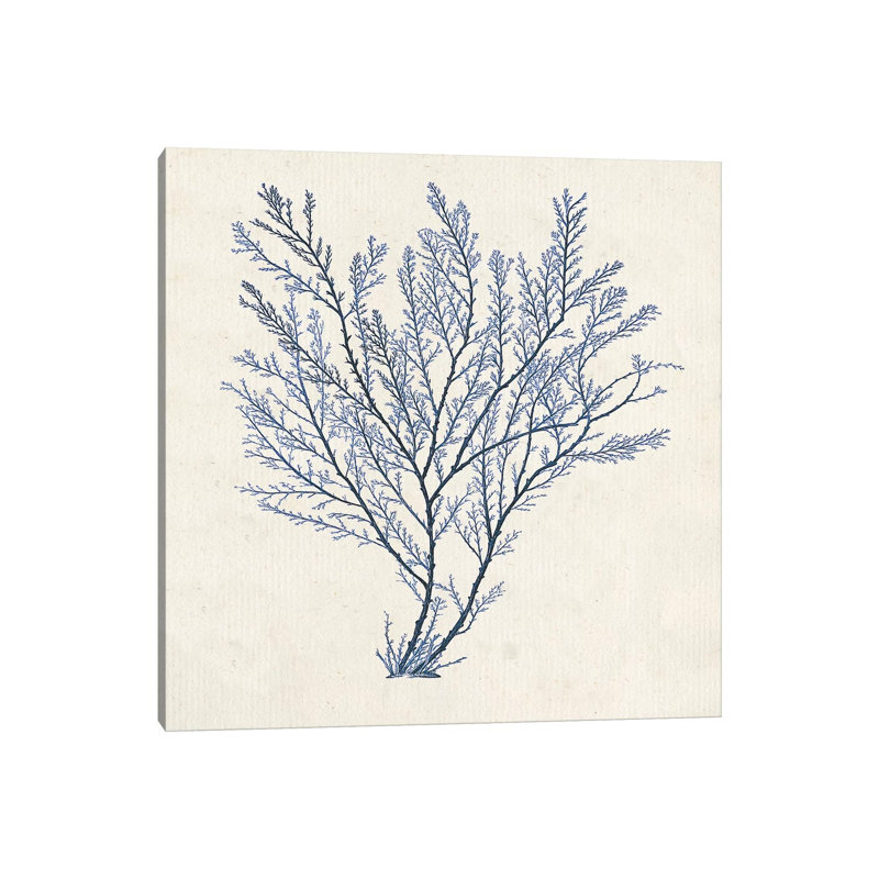 Indigo Algae II by Jennifer Goldberger - Wrapped Canvas Painting, 30.48 cm H x 30.48 cm W