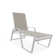Holna Outdoor Rust-Resistant Metal Chaise Lounge