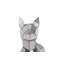 Statue de chien fou