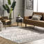 Southwestern Area Rug-1688545788