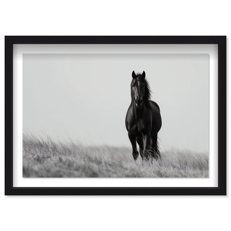 Lone Stallion I Framed Graphic Art, 21.5" H x 31.5" W, Black Shadowbox