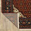 Tapis rouge Collinsville-341227284