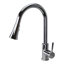 Transolid Holmes Pull Out Kitchen Faucet