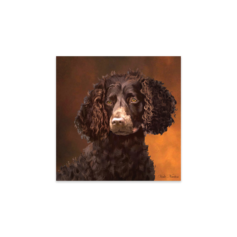 American Water Spaniel sur plastique / acrylique par Vicki Newton, peinture