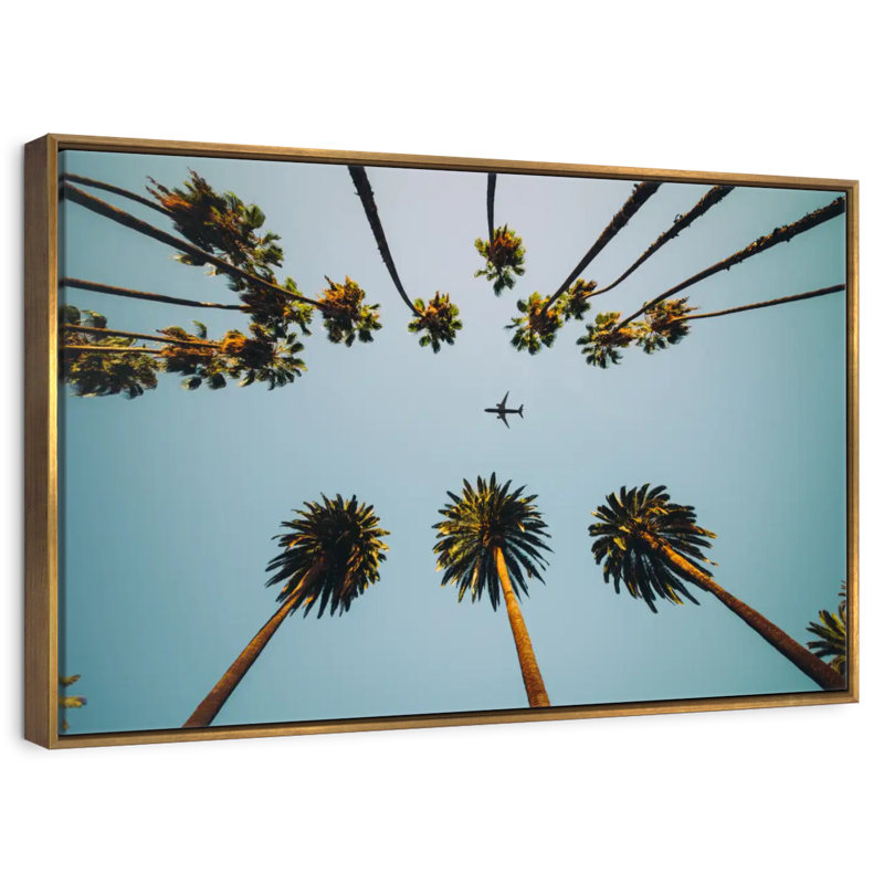 Avion sous les palmiers, Cadre flottant doré, 31 po x 21 po