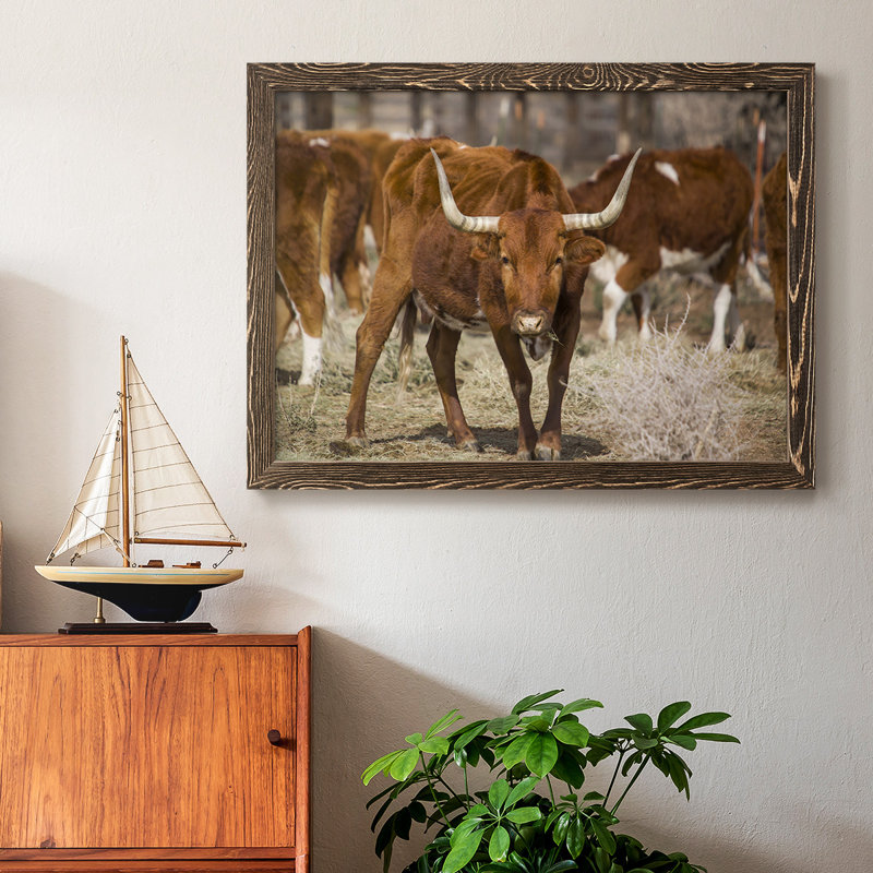 Longhorns, reproduction d'art sur toile encadrée, Noyer, H 18 po x l 26 po x P 1,5 po