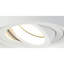 Spotlight-70908392