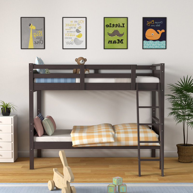 Lidderdale Kids Twin Over Twin Bunk Bed, Espresso