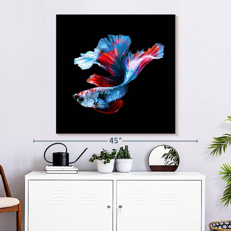 Brampt Elegant Betta Fish, 33" H x 33" W