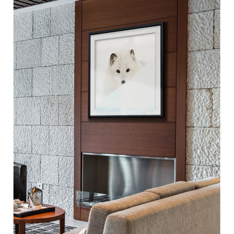 " Arctic Fox ", 17.5" H x 17.5" W x 1.5" D, Black Framed